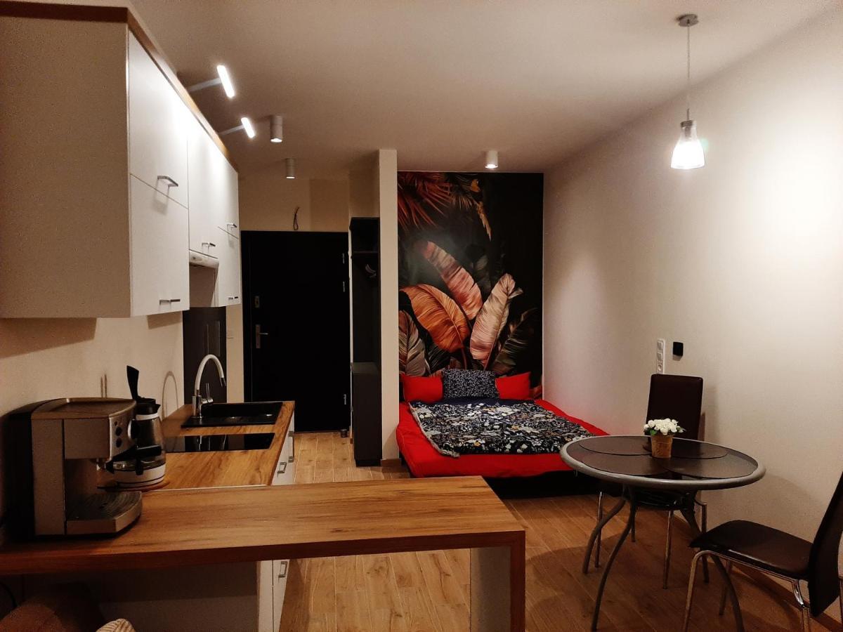 Apartament Pod Szyndzielnia, Debowiec Bielsko-Biala Exterior foto